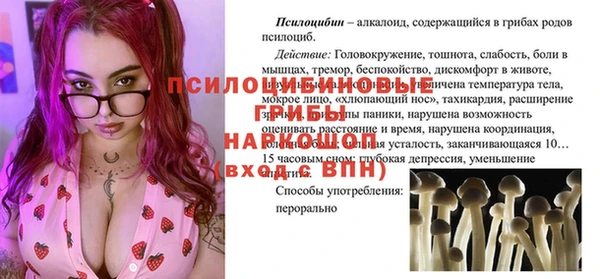 шишки Алексеевка