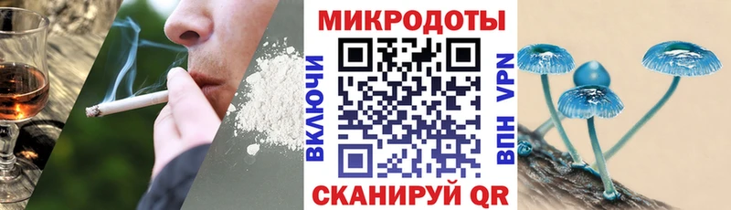 продажа наркотиков Брюховецкая Псилоцибиновые грибы прущие грибы